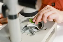 Kegiatan eksperimen sains