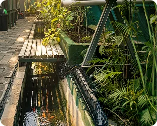 Greenhouse anak Al-Azhar Kelapa Gading