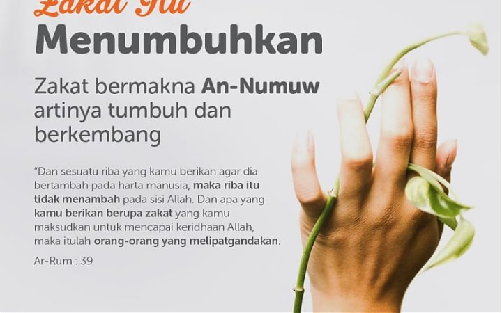 Zakat Itu Menumbuhkan